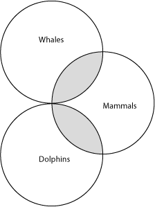 Three overlapping circles labeled whales, dolphins, and mammals.