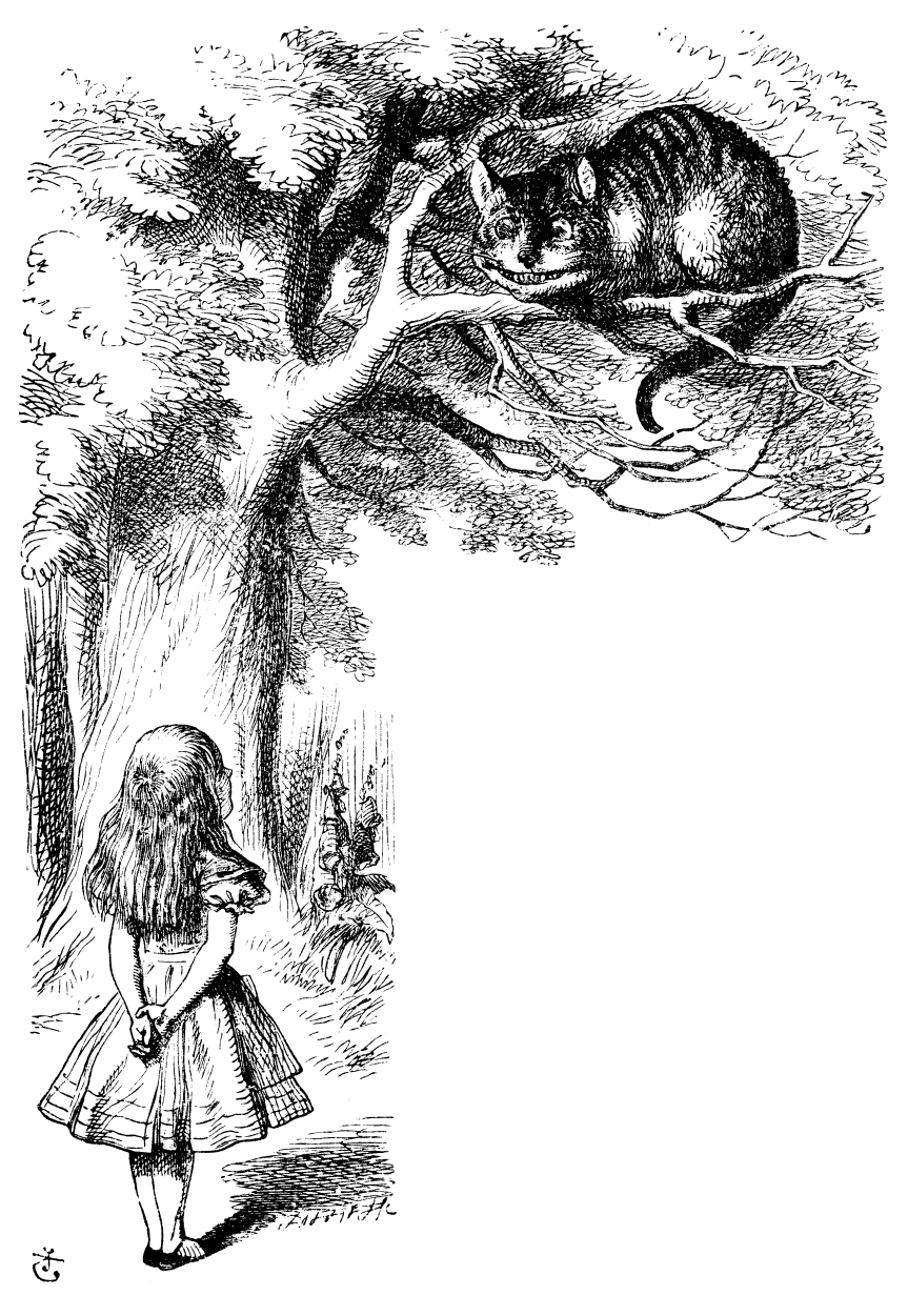 Alice talking to the Cheshire Cat